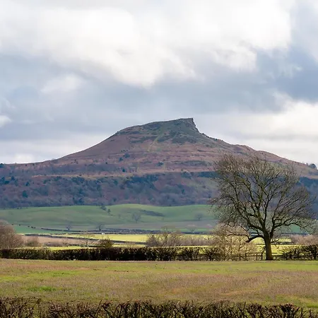 Daire Wyke - Pod 1 Guisborough